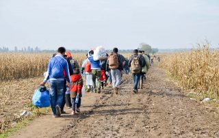 Refugees and migrants walking on fields. Group of refugees from Syria and Afghanistan on their way to EU. Balkan route. Thousands of refugees on border between Croatia and Serbia in autumn 2015.